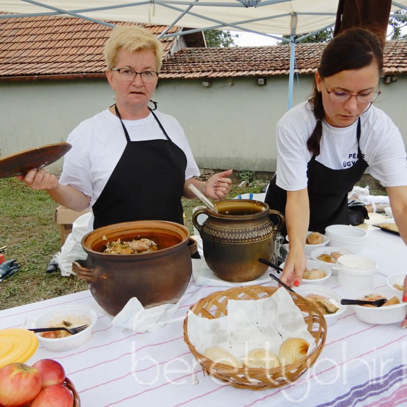 Helyi Értékek Startja 126